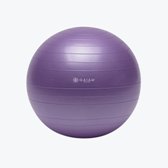 Gaiam Total Body Balance Ball Kit  55cm